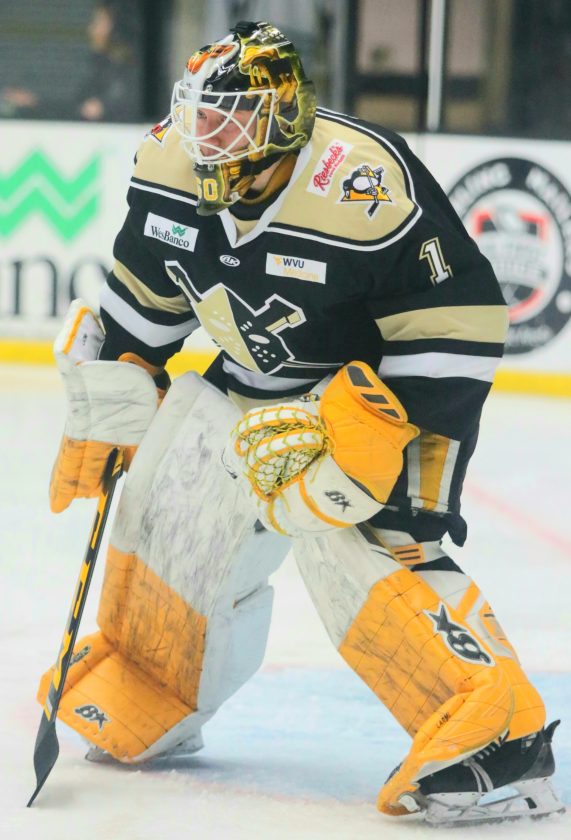 Wheeling Nailers Goalie Emil Larmi Reflects On Dream NHL Trip News